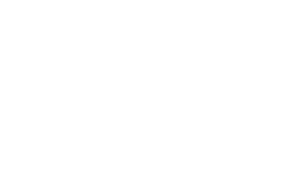  Invest Medical 